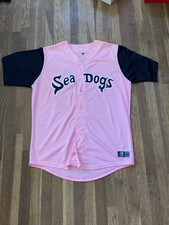 Williams Jerez Game Used Portland Sea Dogs Breast Cancer Awareness Jersey