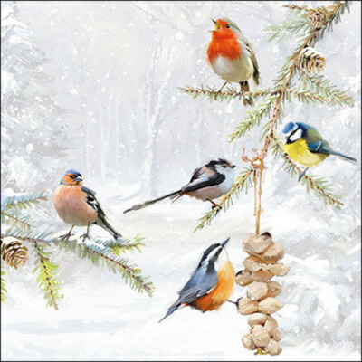 20 Servietten''All together''Meise Robin Spatz*Vogel*Rotkelchen Fink Auswahl