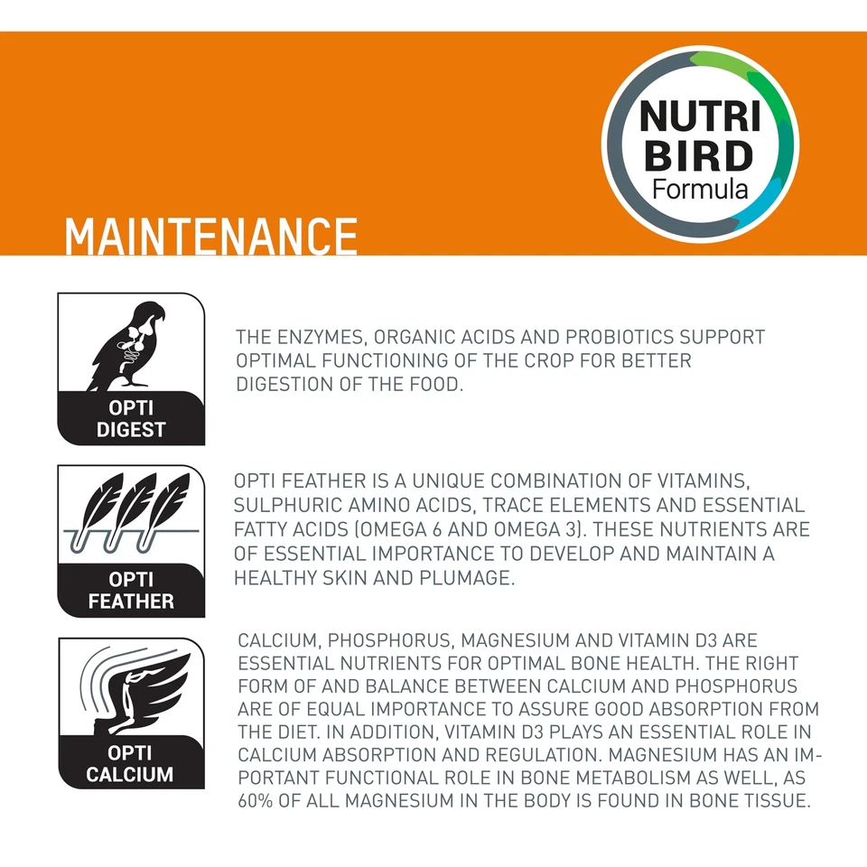 Orlux Lori 3 kg - Bild 2 von 4