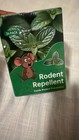Rodent Repellent Rodent Prevention 24 Pack Green Box Unisex Adults — photo 2