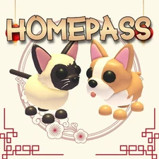 Siamese Cat-French Bulld-Munchkin Cat-Homepass ¡Adopt  yours pets!-FAST DELIVER