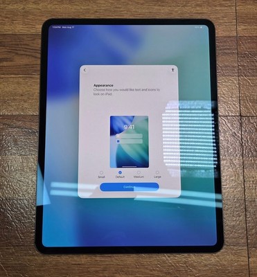 Apple iPad Pro 13'' M4 256GB Wi-Fi A2926 Unlocked Space Black