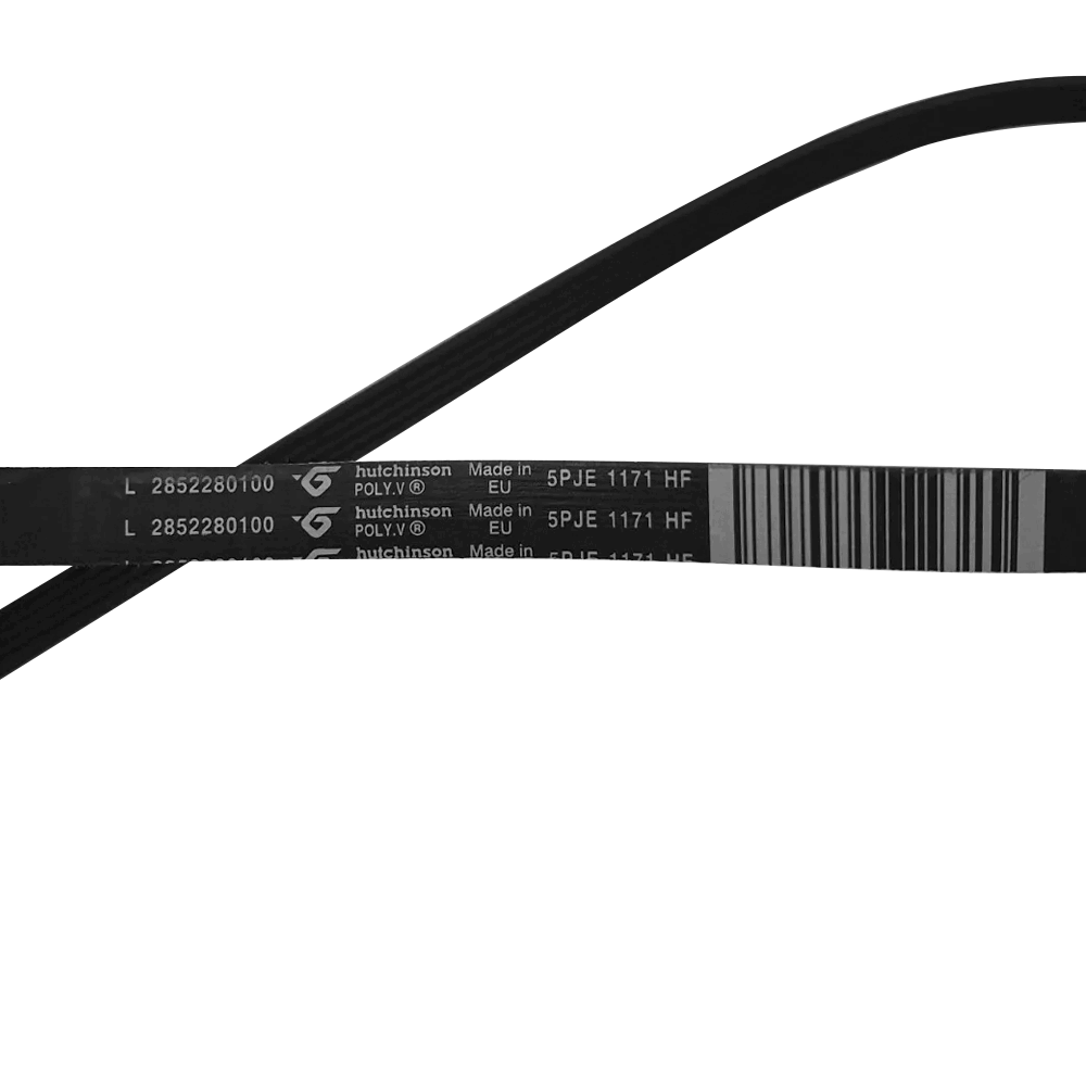 Courroie De Tambour De Machine À Laver 5PJE 1171