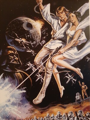 Star Wars Luke Skywalker Leia R2D2 C3PO Poster 13x19 Matte Print