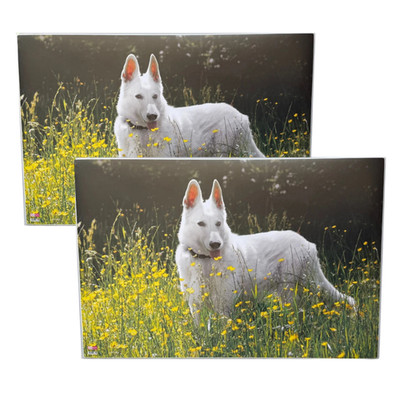 2x Veloflex Schreibtischunterlage Schreibunterlage 60x40cm rutschfest Hund