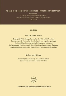 Dieter Richter | Ballen und Kissen | Taschenbuch | Deutsch | 50 S.