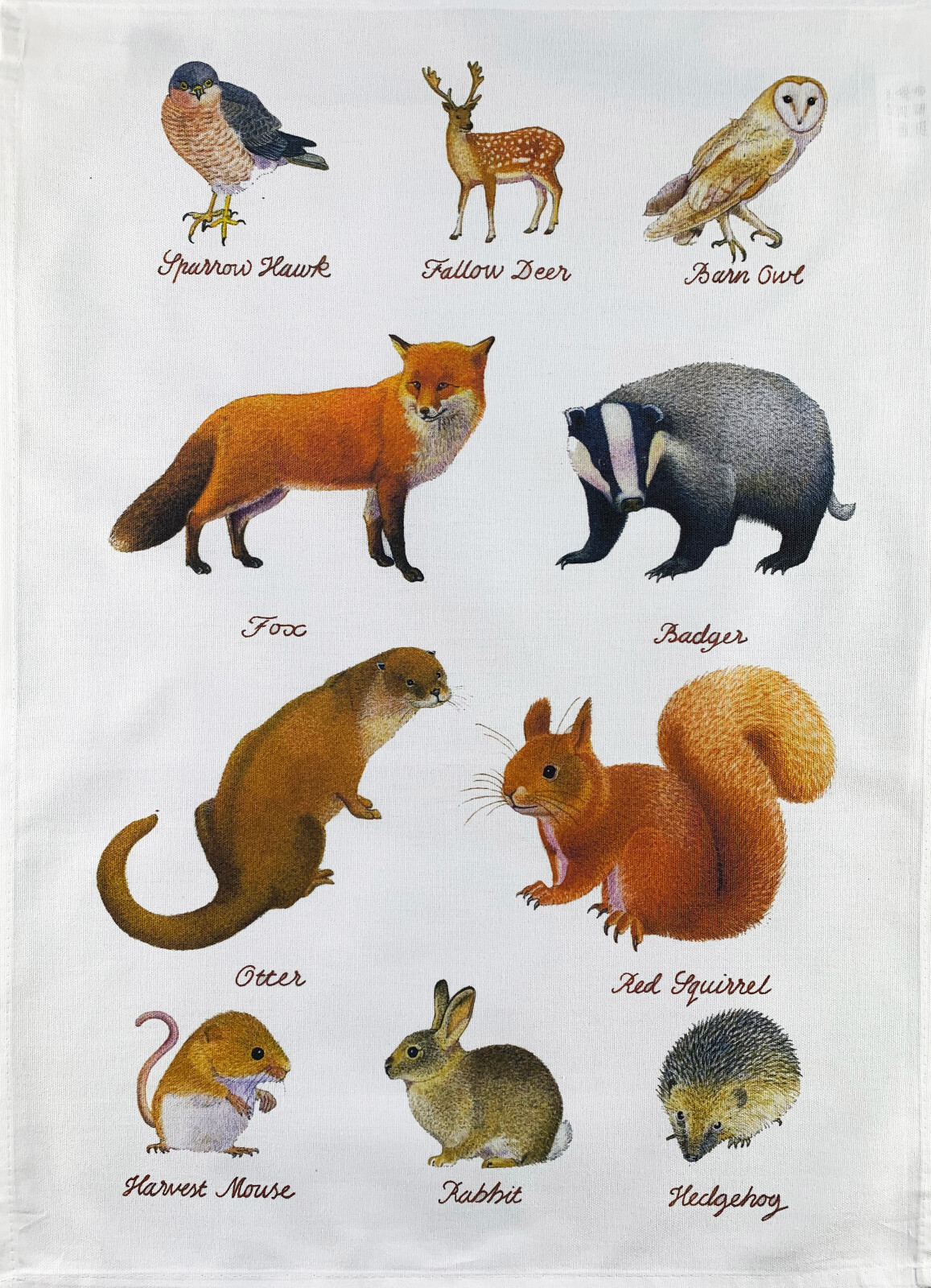 Wildlife Animals Cotton Tea Towel, machine washable,colourful, hand drawn