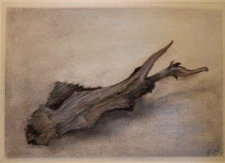 Franz Ehmke 1928 -2018 GDR Painter Image Still Life Holzstück Driftwood