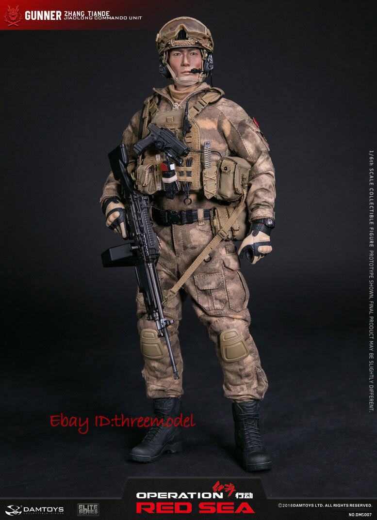 DAMTOYS DAM 1/6 DMS007 Gunner Zhang TianDe Jiaolong Commando Unit
