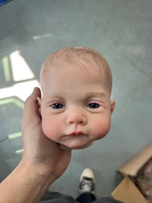 19'' Reborn Twin Baby Dolls Painted Kits Soft Touch Veins Detail Cloth Body Incl