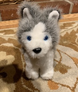 american girl husky dog