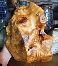 12x10x4" Hand Turned Wooden Burl Bowl Knots Eucalyptus Nice  