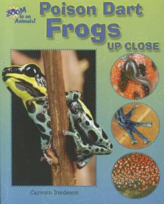 Poison Dart Frogs Up Close (Zoom in on Animals!) - Paperback - GOOD