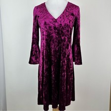 Eliza J Crushed Velvet Bell Sleeve Dress Size 4