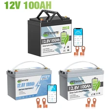 12V 100Ah Lithium Battery LiFePO4 with 100A BMS for RV Trolling Motor Off-grid