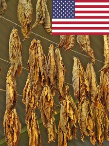 adverse effects of tobacco Harmful effects of smoking on skin – Vedikroots