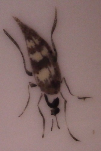 Ancien 18thC James Giles Chinois Export Porcelaine Saucer Dish Anglais England - Photo 5 sur 11