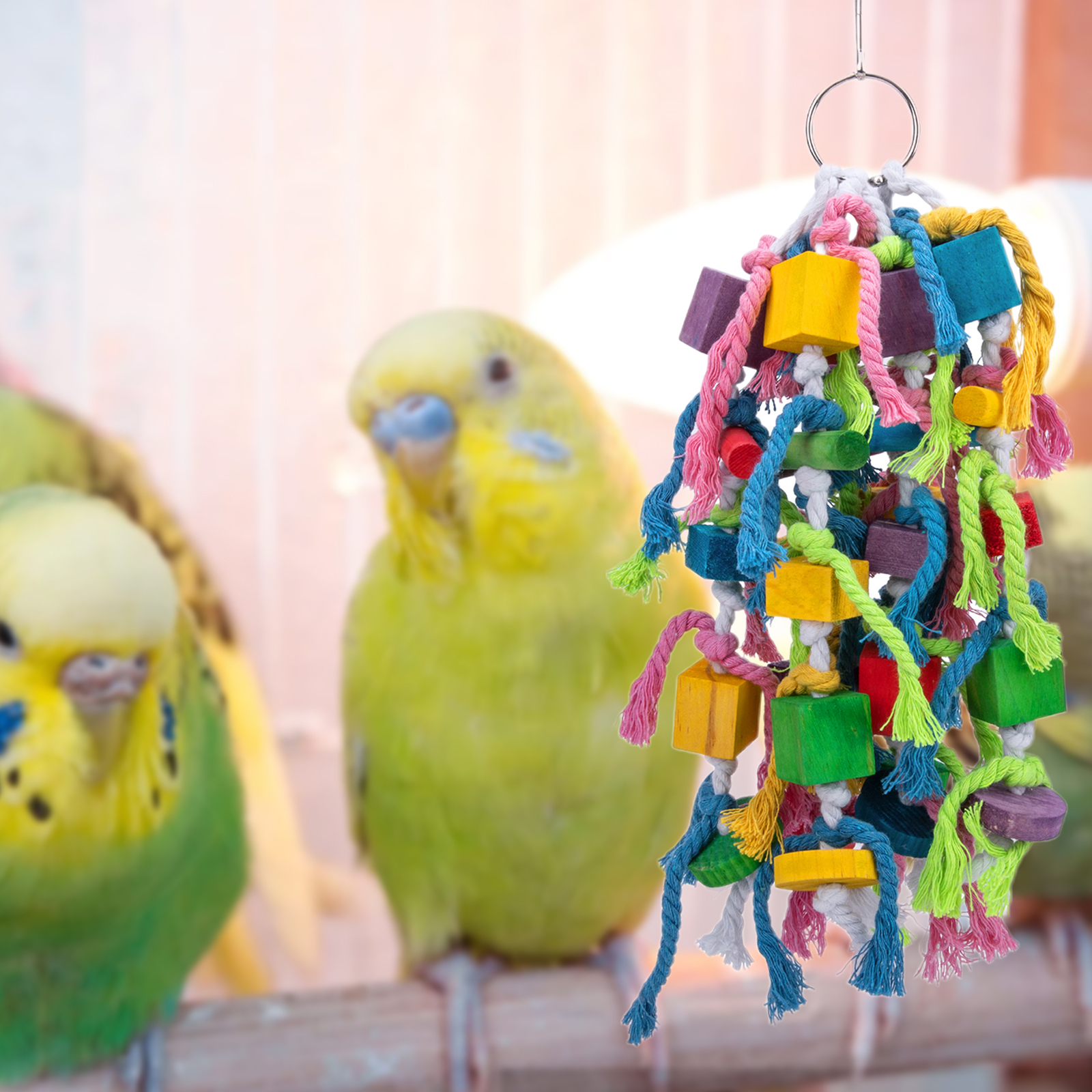 Bird Toy Hook Design Relieve Boredom Parrot Hanging Cage Toy bird-toy-hook-design-relieve-boredom-parrot-hanging-cage-toy