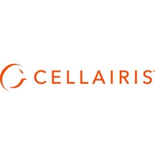 Cellairis 11-0078483 Glass Screen Protector for MacBook Pro 13 Privacy