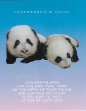 LUN LUN & YANG YANG Pandas Birth of Twins Atlanta Zoo 2013 Photo Print Ad