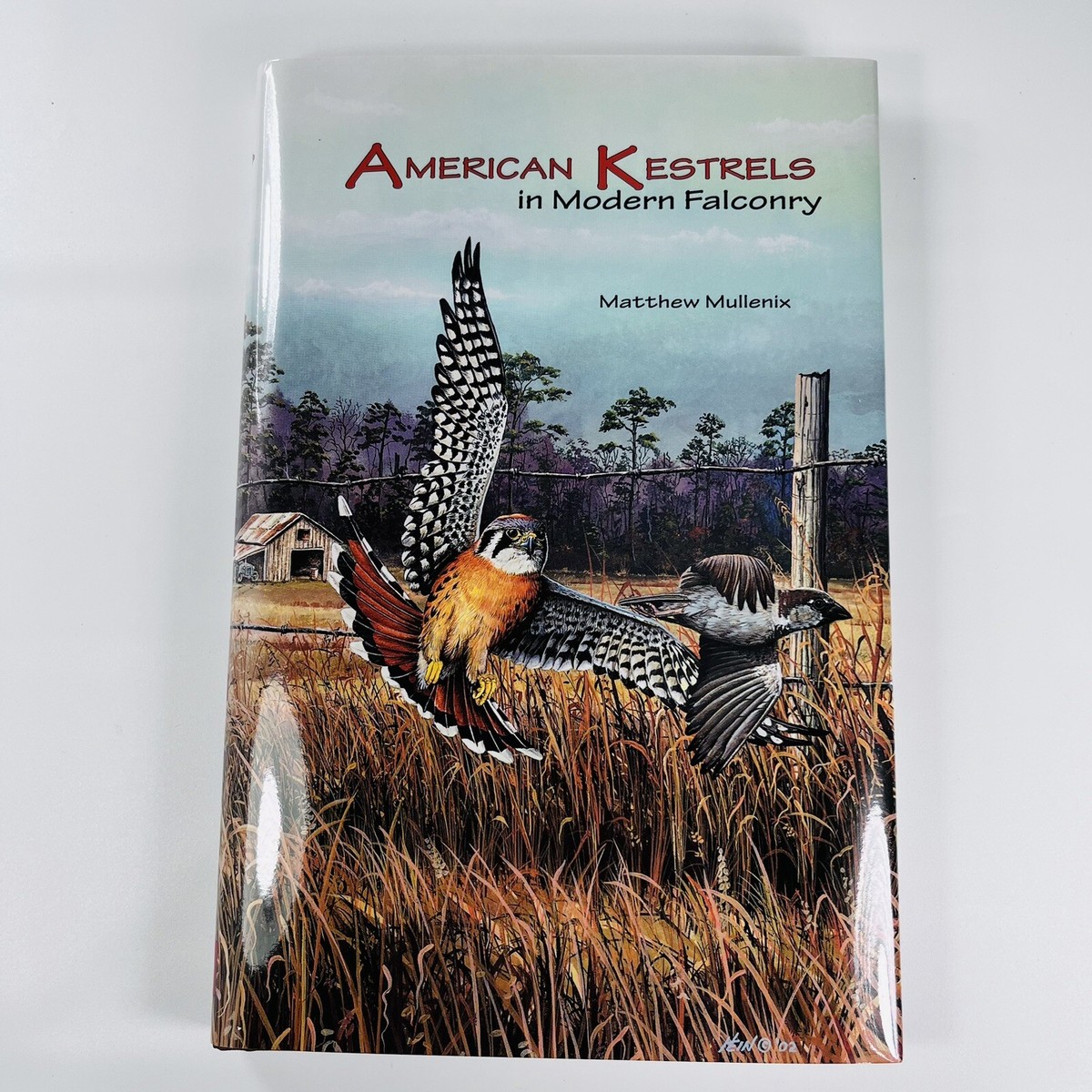 Rus porno aktrisasi Anjelika Lesbians BDSM nudevista