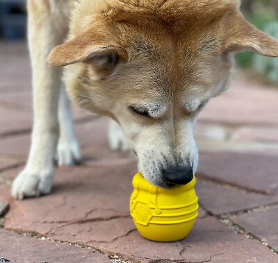 SodaPup Large Honey Pot Rubber Treat Dispenser & Enrichment Toy