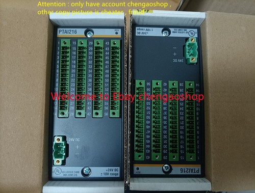 1PCS NEW PTAI216 Bachmann PLC Module (free DHL or FedEx) #U6382D YG - Picture 2 of 2