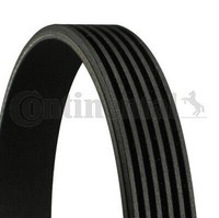 6PK1256 Continental Ctam Riemen Poly-V FüR Ferrari, Fiat, Ford, Hyundai, Kia,