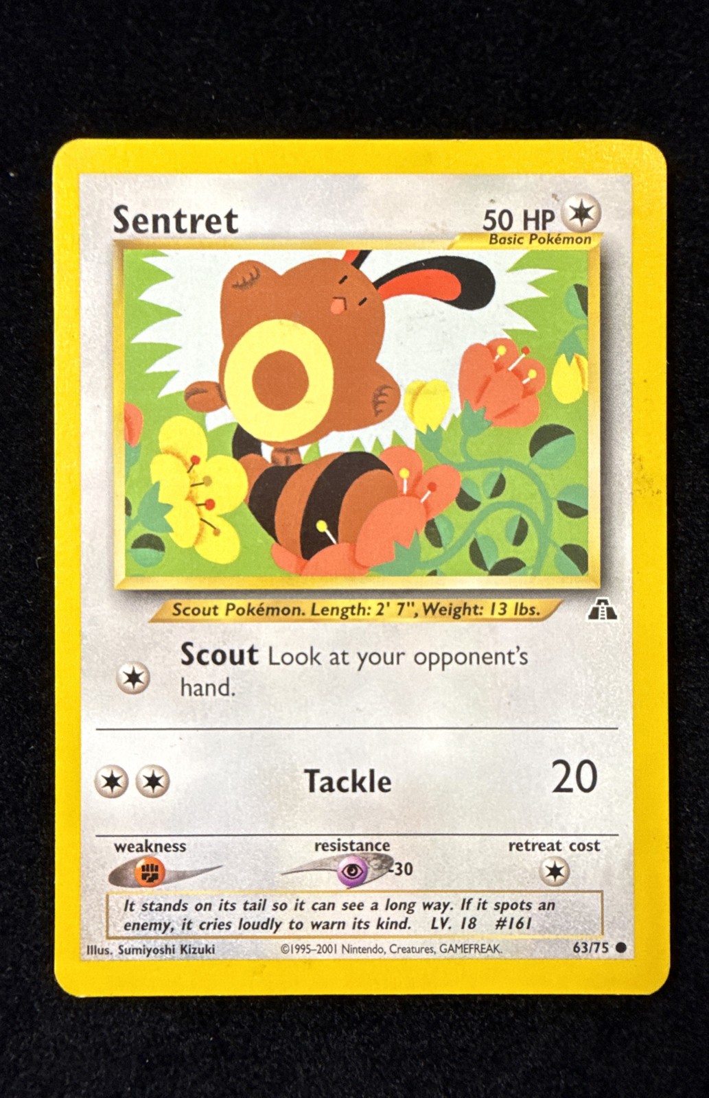 Sentret - Neo Discovery - 63/75 - Pokemon TCG - LP