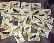 Useful Birds Of America (3rd Ser) 22 Arm & Hammer / Church & Dwight Co. Cards