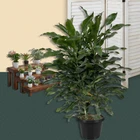 1-15Gallon Premium Black Plastic Nursery Plant Container Garden Planter Pots