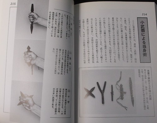 JAPANESE MARTIAL ARTS BOOK HIDEN ATEMI JUTSU JUN OSANO SELF DEFENSE 1998 USED - Picture 20 of 24