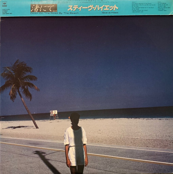 Steve Hiett - Down On The Road By The Beach / NM / LP, Album