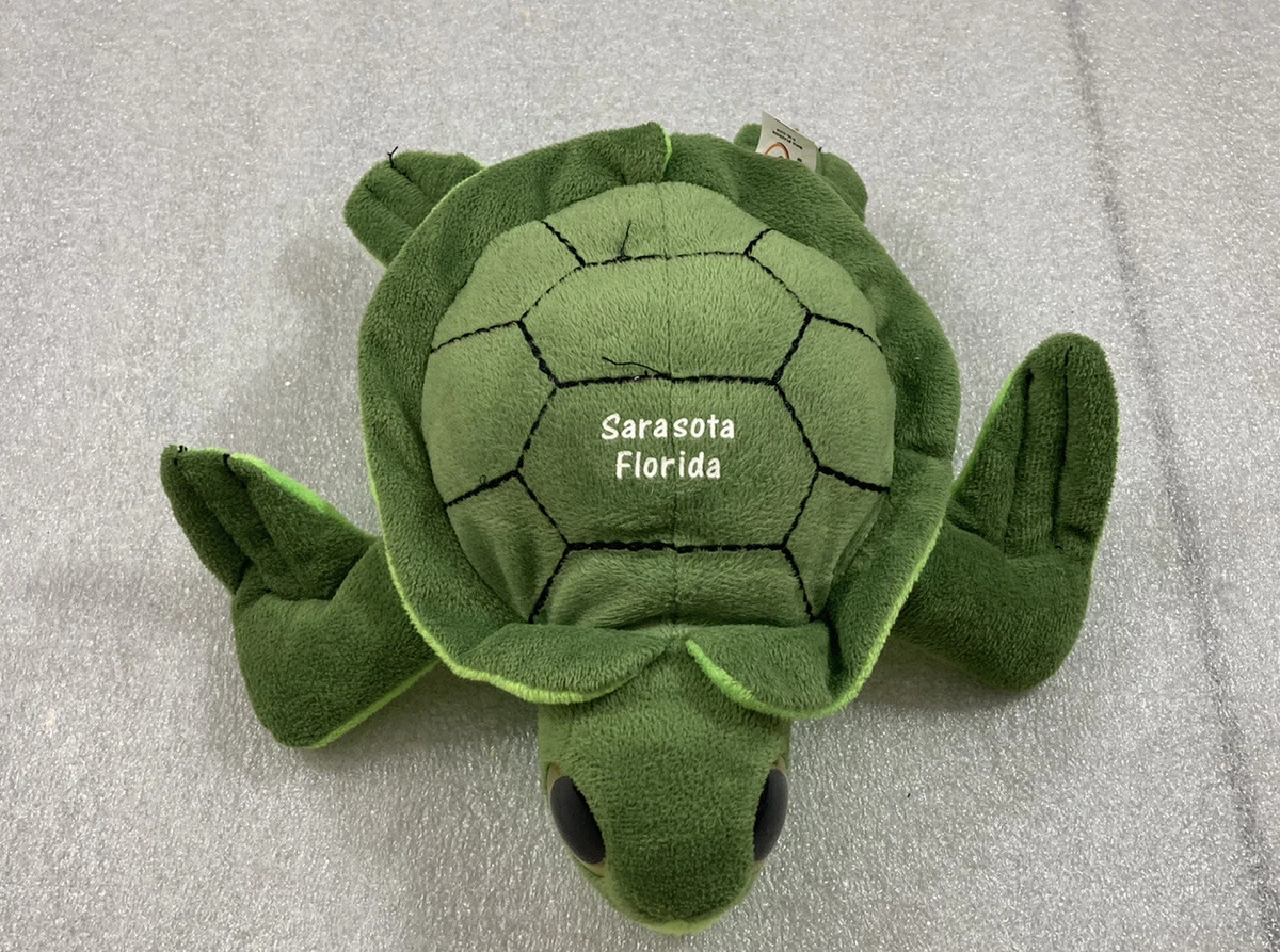 Big Eyed Sea Turtle 8