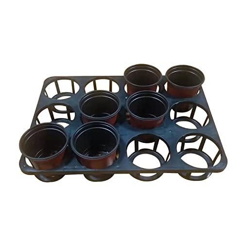 12pocket Seedling Flower Pot Shuttle Carry Trays 5pack Round Nursery