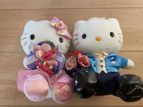 Sanrio Hello Kitty Daniel Wedding Doll Plush Toy Set Flower Dress Japan - Picture 7 of 11