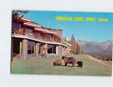 Postcard Timberline Lodge Banff Alberta Canada