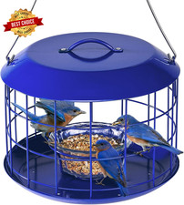 Metal Bluebird Feeder Hanging Cage Mealworm Tray Squirrel Resistant