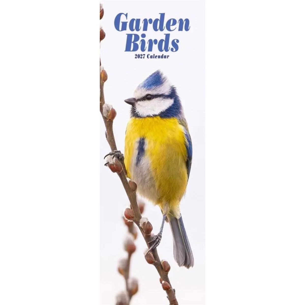 Garden Birds Slim Avonside Publishing - Image 3