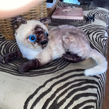 Gudves Siamese Cat Stuffed Animal, Shorthair Realistic Plush Toys,...