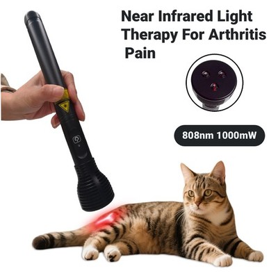 1000mW 808nm Non-Invasive Low Level Laser Therapy System Device For Pain Relief