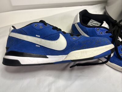 F.29　110本 ピュアスポーツ RARE Nike Zoom Paul Rodriguez SB 3 Blue Sneakers 366620-411