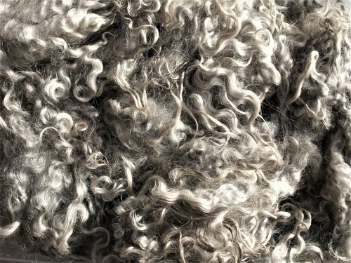 Felsted Fleece: LOCKS of Washed Natural or Dyed British Gotland sheep's wool, UK - Picture 10 of 29