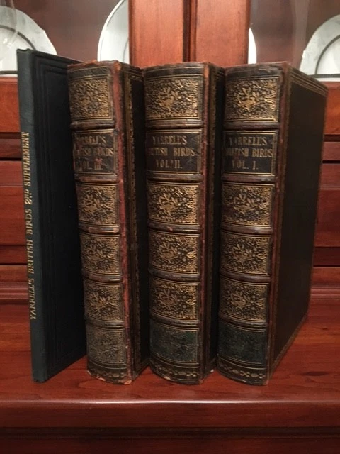 RARE 1843 History of British Birds, Yarrell, Owls Swans Goose Ducks, ORNITHOLOGY - Image 2 of 4