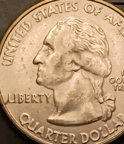 BROADSTRUCK 2000-P South Carolina Washington State Quarter Error. About Uncirc. - Picture 5 of 10