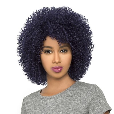 Hh Afro Jerry The Wig Brazilian Human Natural Hair Blend Kinky