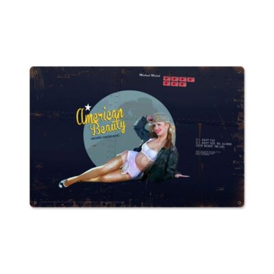 American Beauty Flugzeug Nose Art Pin Up Vintage Retro Sign Blechschild Schild