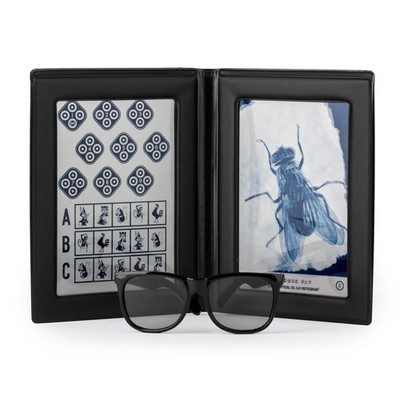 Stereo Fly Vision Test SO001 Gross Stereopsis Fine Depth Perception Evaluation