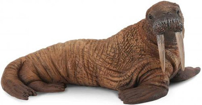 Walross Sealife Spielzeug Modell Figur von CollectA 88569 Brandneu