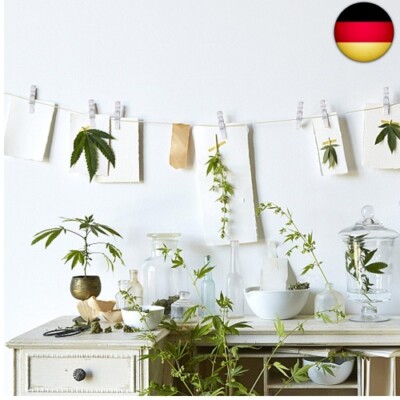 100 Stück Transparente Mini-Wäscheklammern - Bunte Klammern Für Fotos & DIY